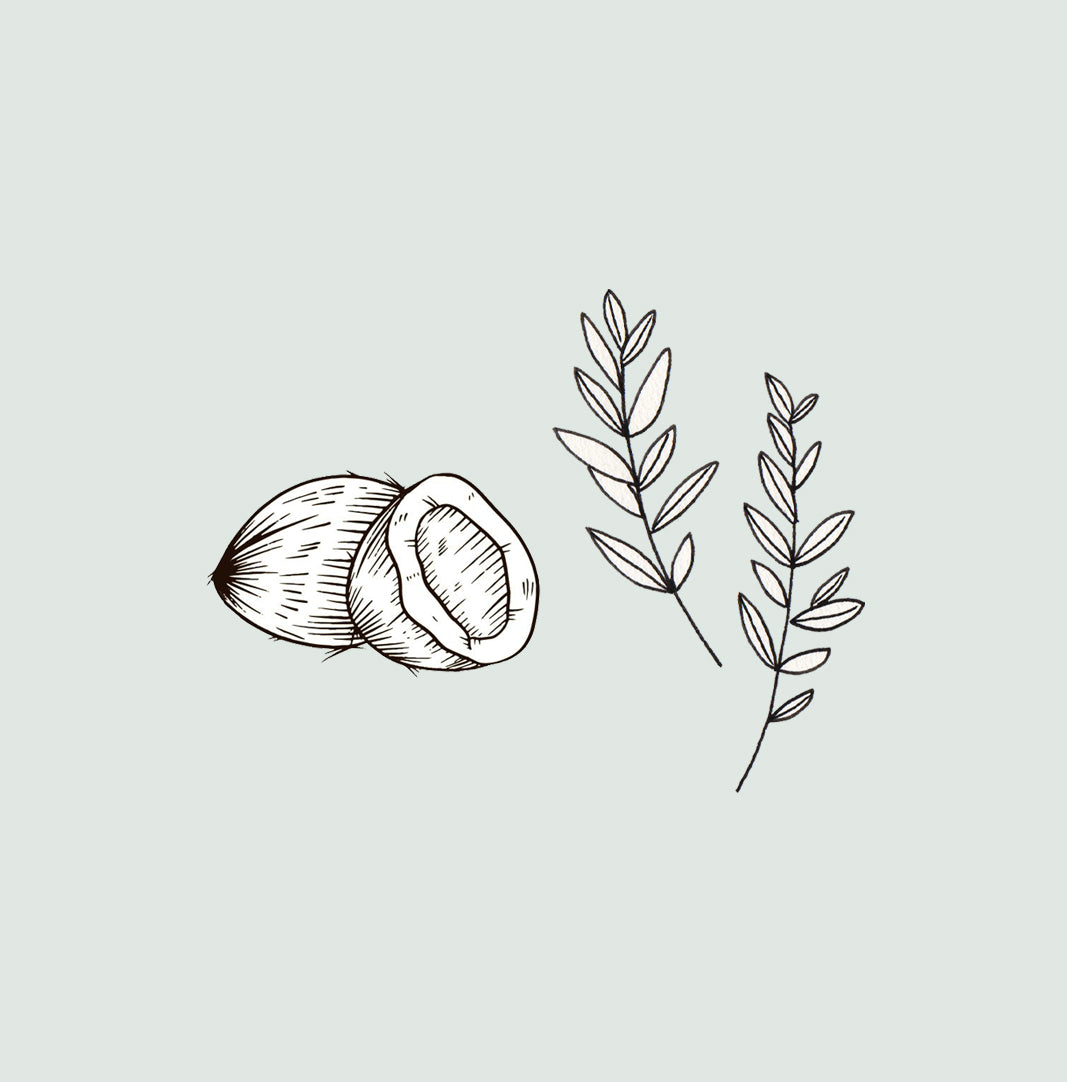 img-ingredients-v2.jpg