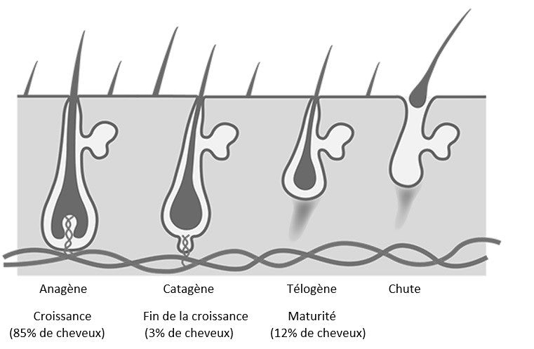 Routine capillaire indienne pour la pousse des cheveux